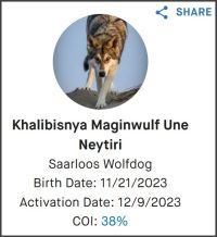 Embark Neytiri