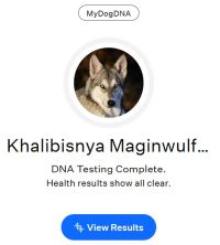 MyDogDNA Neytiri