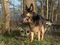 DSC00695 Yuma kann auch ohne Grasbüschel.