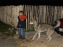 DSC00852 Nisha war mindestens so aufgeregt wie klein Paul....nur daß sie sich nicht so gut die Ohren zuhalten konnte wie er.