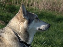 DSC02048