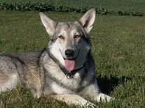 DSC02271 Sonne genießen.