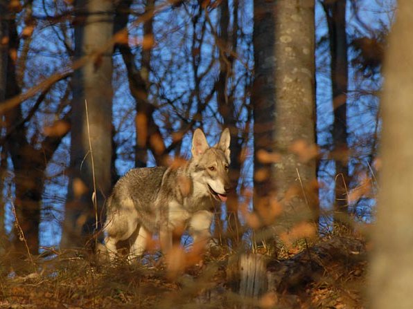 15-12-2007 Ausflug auf den Höchsten