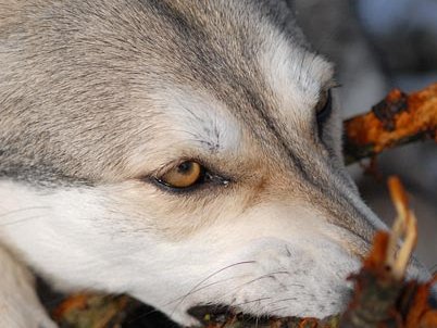 03-01-2008 Spaziergang