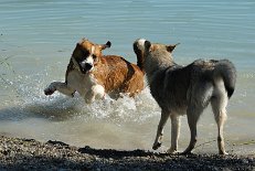 DSC_7877 Los, Shaya - laß uns spielen!