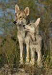 DSC_8547 Mutter und Tochter