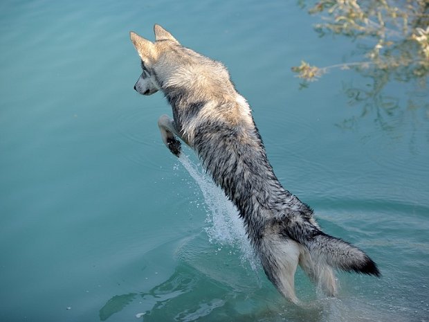 14-07-2013 Baggersee
