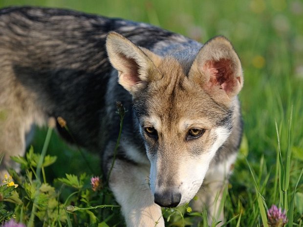 31-07-2014 Spaziergang