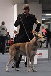 DSC_2017_Tmoreeke Tmoreeke - ein Prachtbursche!