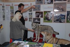 DSC_2644 Natürlich gab es auch Leckerlies für die Hunde - so manch Besucher/Interessent ließ es sich nicht nehmen, den Hundis etwas zu geben.