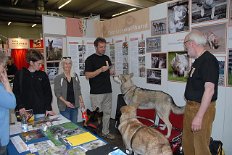 DSC_2646 Nisha auf den Stühlen - das zog doch auch einige Leute an, da sie sich gut präsentierte und so manches Kunststückchen vorführte.
