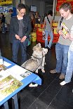 DSC_2664 Hin und wieder kam ein netter Rüde vorbei, mit dem Nisha dann auch heftig flirtete - zur Freude der Besitzer :) .
