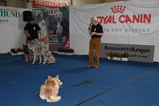DSC_2676 Gegen Nachmittag gab es dann noch eine Rassevorstellung. HaWe hat ein wenig über die Rasse erzählt, Willi hat mit den Hundis Dummfug gemacht und ich hab die...