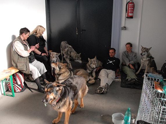 11-05-2008 Ausstellung Saarbrücken