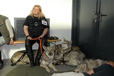 DSC_4501 Grit und die Hundis - für sie war es, wie auch für Aiko's Herrchen Alex, die allererste Ausstellung! Meinen größten Respekt dafür, daß sie das so toll...