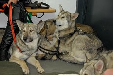 DSC_4502 Aliyah und Asgard