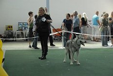 DSC_4574_Asgard Grit und Asgard