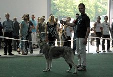 DSC_4598_Aiko Alex und Aiko