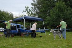 DSC_9132 Rüden / Jugendklasse: SKON SOERABAYA SIEP BASTAJA (Bew. V1)