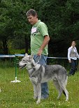 DSC_9134 Rüden / Jugendklasse: SKON SOERABAYA SIEP BASTAJA (Bew. V1)