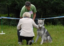 DSC_9135 Rüden / Jugendklasse: SKON SOERABAYA SIEP BASTAJA (Bew. V1)