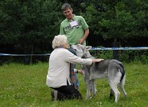 DSC_9141 Rüden / Jugendklasse: SKON SOERABAYA SIEP BASTAJA (Bew. V1)