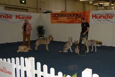 DSC_1602 Hans-Willi mit Aslan und Baayou und Wilfried mit Timish, Shaya und Nisha