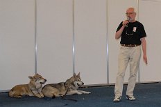 DSC_1451 Ares, Bowie und Hans-Willi