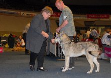 DSC_1485 Bowie zeigt sich absolut offen und freundlich :) .