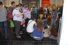 DSC_1628 Nocona stößt bei den Menschen auf Begeisterung - er macht sich aber nix draus ;) .