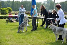 DSC_2605 Yari denkt die ganze Zeit nur an Futter, rechts im Bild ist Bruder Dante