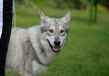 DSC_2678 Dante