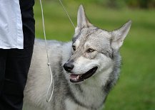 DSC_2679 Dante