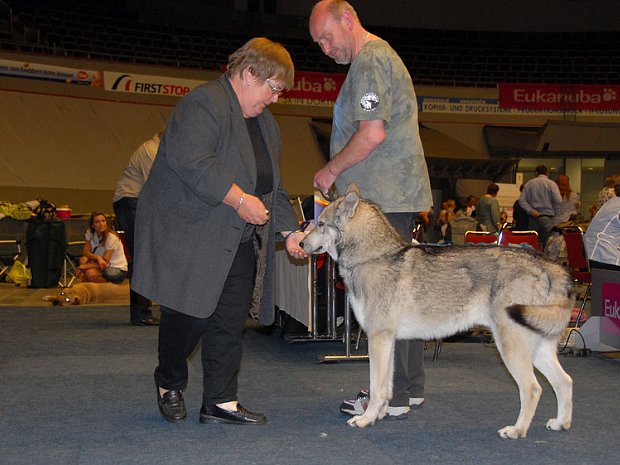 07-05-2011 Ausstellung Dortmund Auf der Hundeausstellung in Dortmund am 7. Mai 2011 hatte der SWH-Club wieder einen Infostand, um über die Rasse...