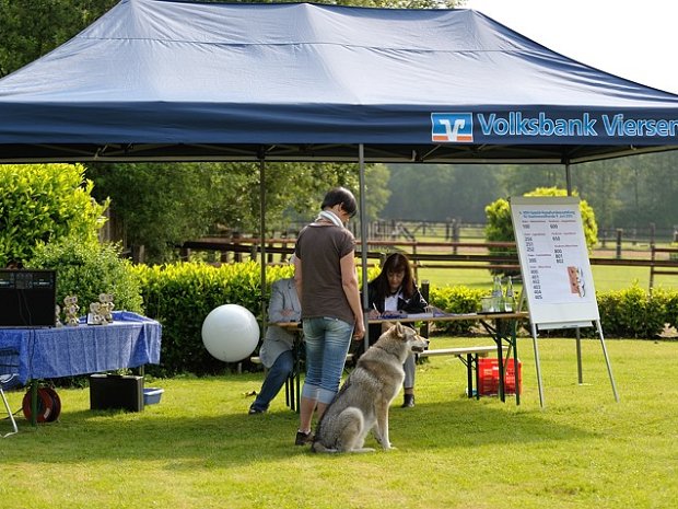09-06-2013 Spezialzuchtschau Venekotensee Am 9. Juni 2013 fand die 6. VDH-Spezial-Rassehundeausstellung für Saarlooswolfhonde, organisiert durch Hans-Willi...