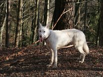 IMG_0189 Auri posiert.