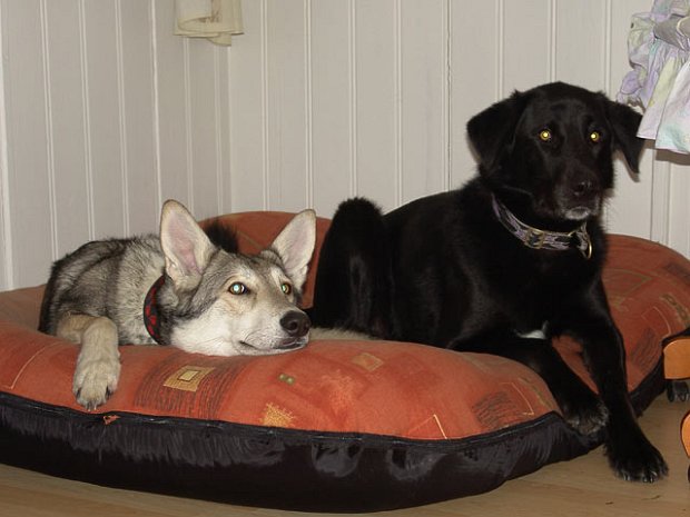 28-01-2007 Besuch bei Paco im Allgäu