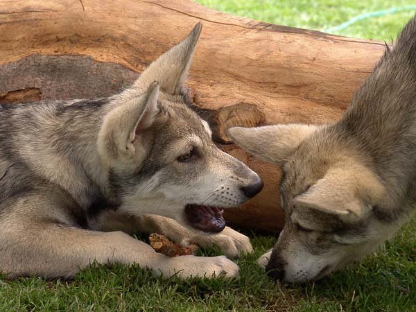 08-07-2007 Besuch bei Aiko in Liechtenstein