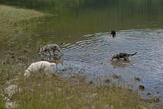 _DSC0077
