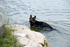_DSC0088 Yuma
