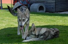 DSC_2056 Links Aiko, rechts Timish.