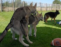 DSC_2111 Ups - Aiko fängt ja schon früh an!