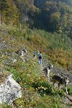 DSC_7917 Gratwanderung.