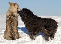 DSC_7464 Nisha und Pablo.