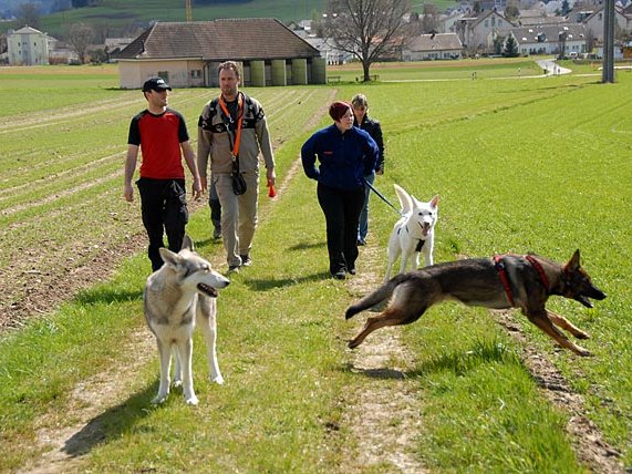 13-04-2008 Besuch bei Auri in der Schweiz & Aiko