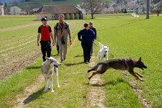 DSC_0736 Menschen waren auch dabei - Nisha steht vorne links, Auri hinten und Mara spurtet quer durch's Bild.