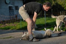 DSC_1868 Anni läßt sich von Willi durchkraulen