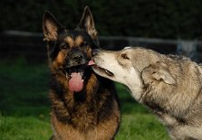 DSC_1877 Anni gibt Tante Yuma ein Küßchen