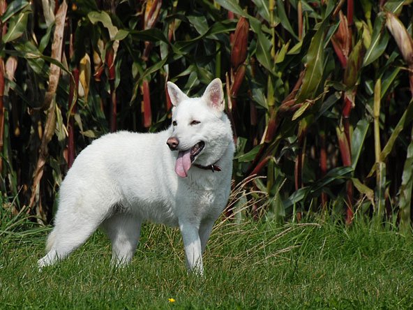 28-09-2008 Besuch von Auri und Attila