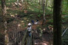 DSC_0453 über den Tobel rüber